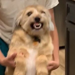 Meet your Posher, Mitch